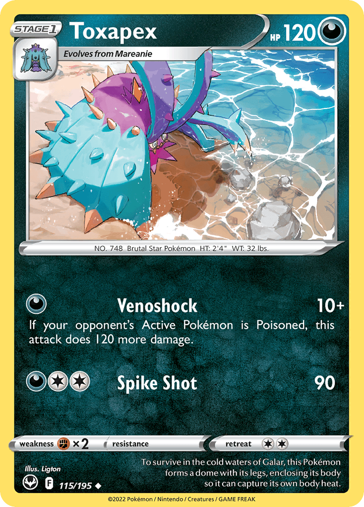 Aggrostella (Toxapex)