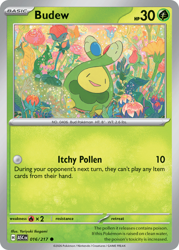 Knospi (Budew)