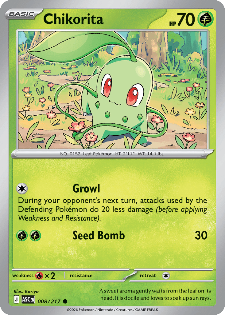 Endivie (Chikorita)